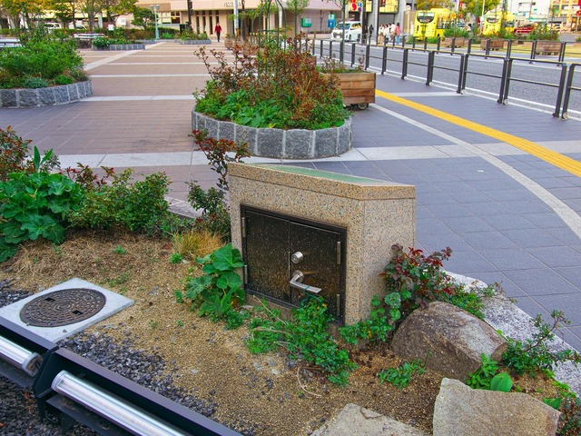 20230319_172746P3194179-230319-172746