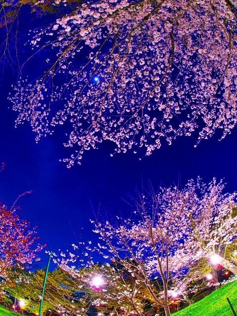 20230330_190123P3304900