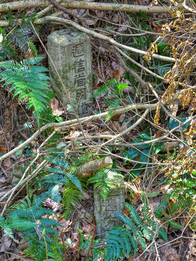 20220403_120308P4034052_41