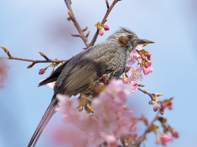 20220308_142457P3081281