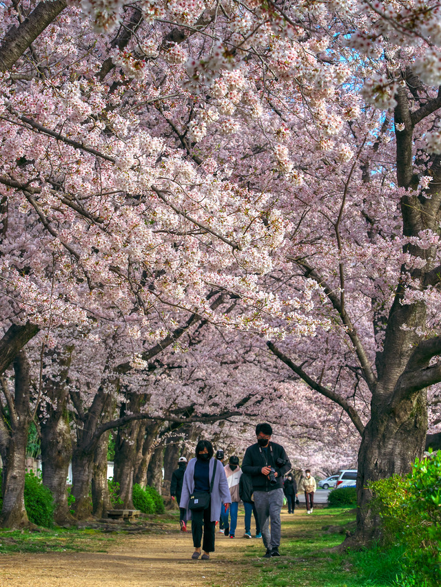 20220402_074916P4020200_5