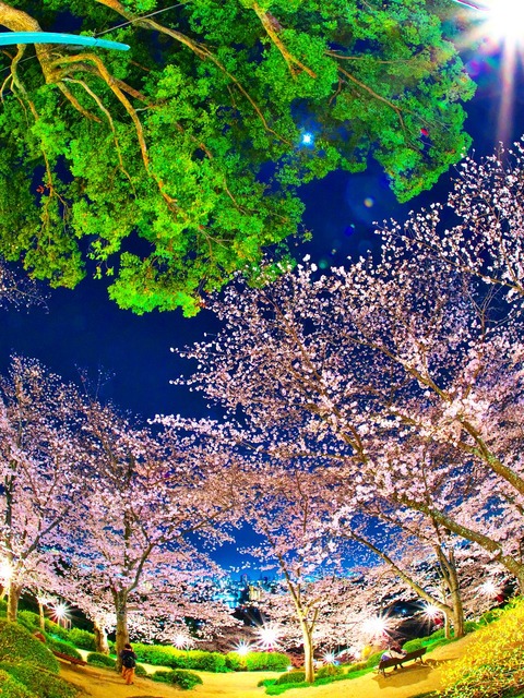 20230330_200437P3304958