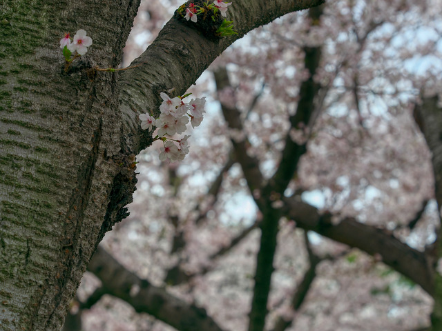 20220402_090511P4020355_5