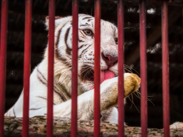 20221008_174317PA080856