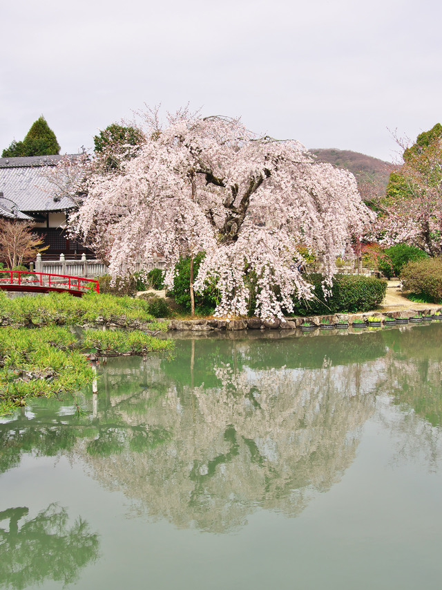 20220330_112957P3300073