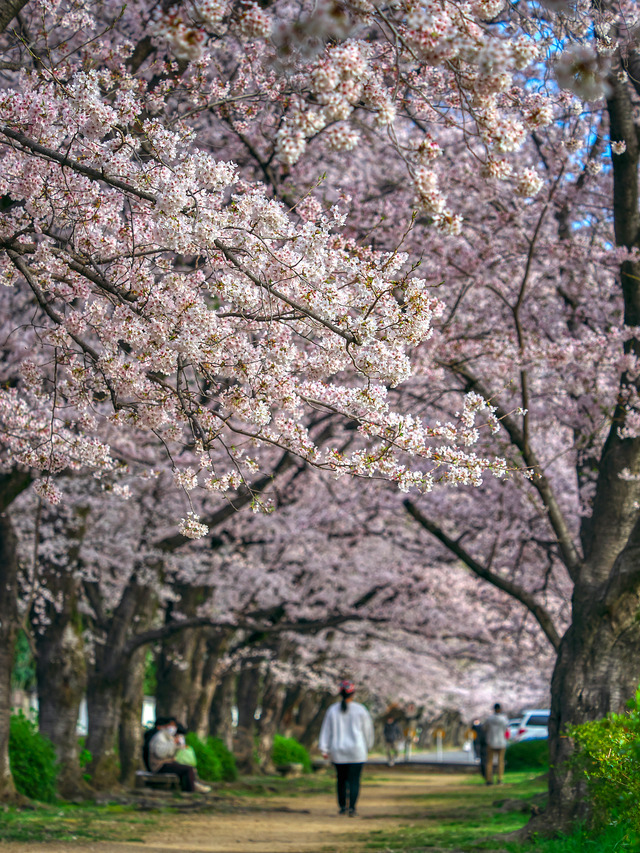 20220402_075042P4020220_8