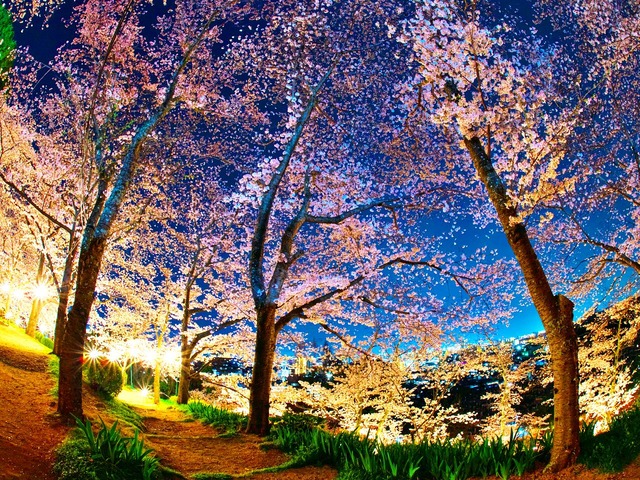 20230330_195610P3304953