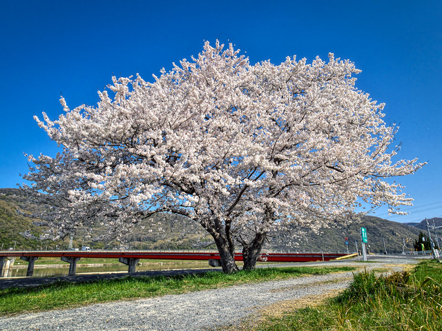 20220405_085931P4054140_5