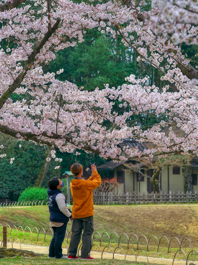 20220402_090436P4020353_4