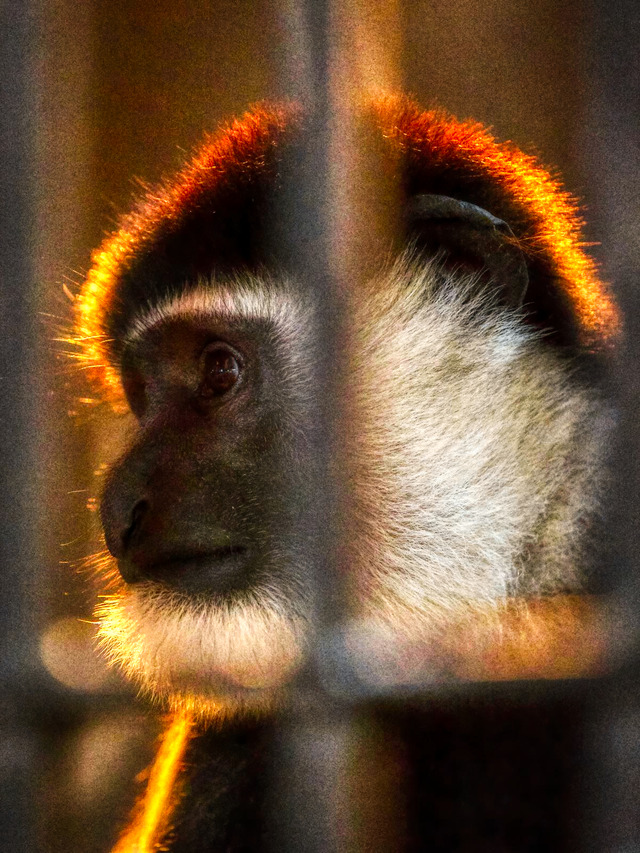 20221008_180510PA080977