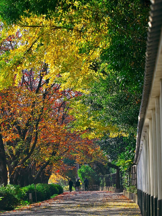 20221120_091315PB203104