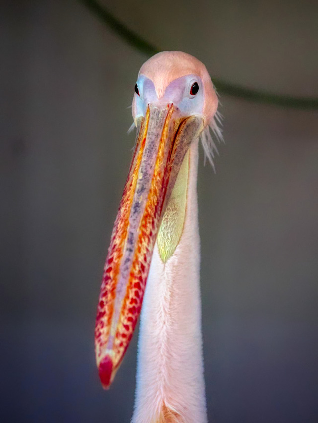 20221008_171007PA080793