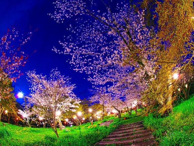 20230330_185830P3304895