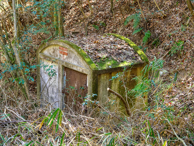 20220403_121046P4034079_45