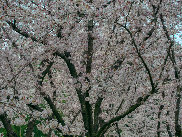 20220402_090412P4020350_3