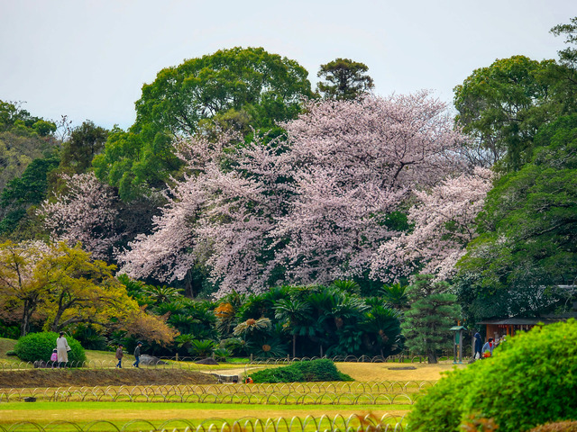 20220402_092515P4020378_23