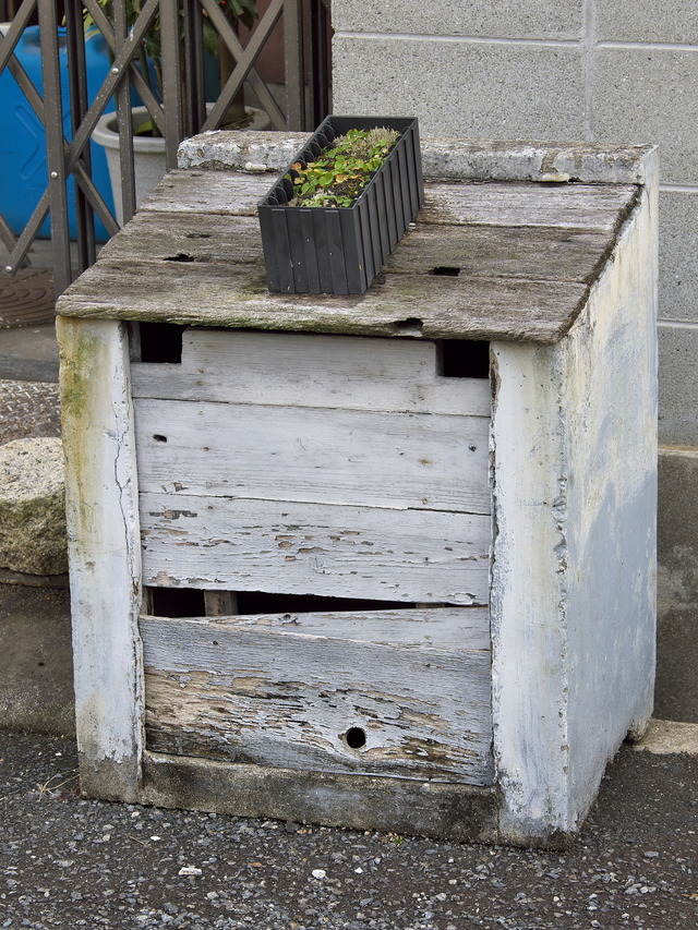 20220220_110955P2201089