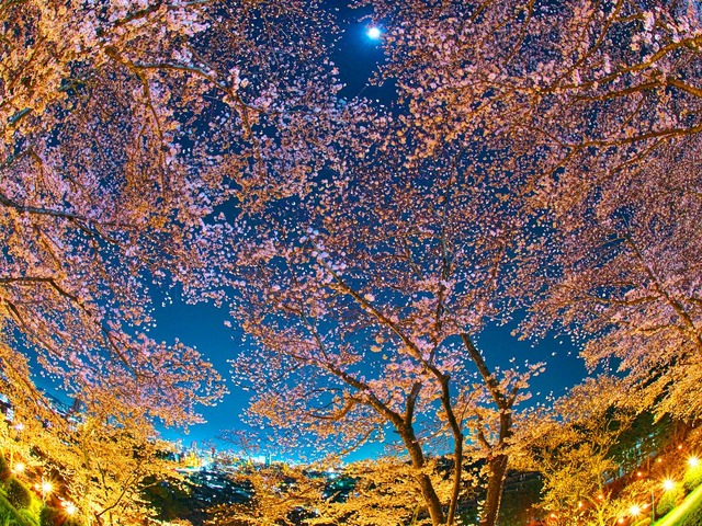 20230330_200709P3304959