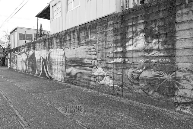 DSC00529-220321-133432