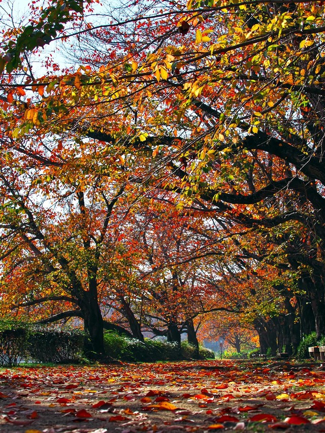 20221120_091546PB203129