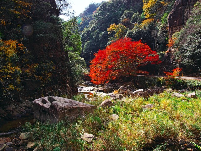 20221119_121943PB190880