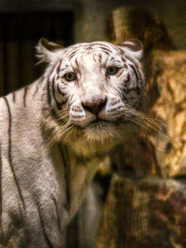 20221008_180706PA081015