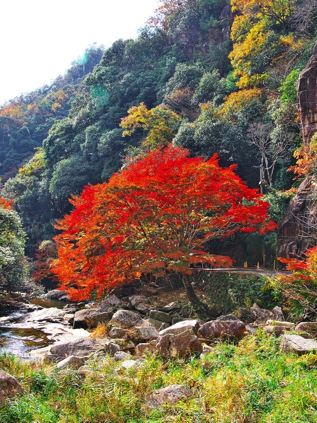 20221119_121903PB190873