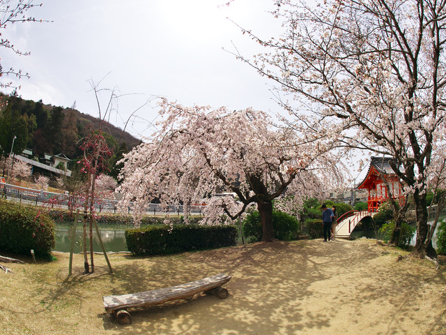 20220330_112609P3303323