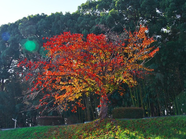 20221120_085758PB200929