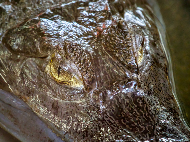 20220626_110716P6262605_1