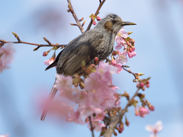 20220308_142502P3081291