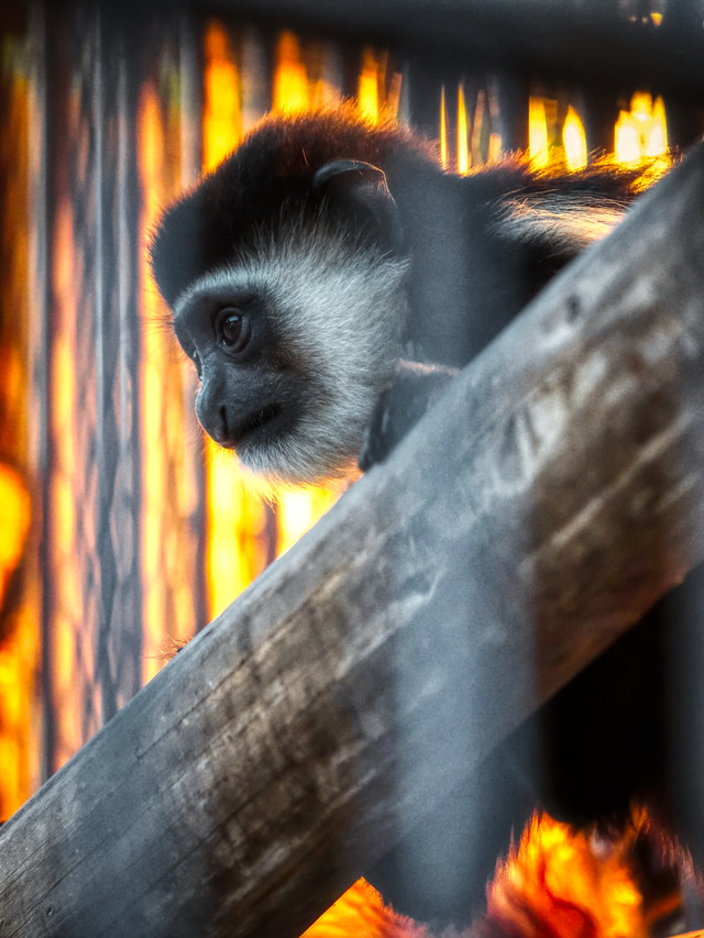 20221008_171541PA080833