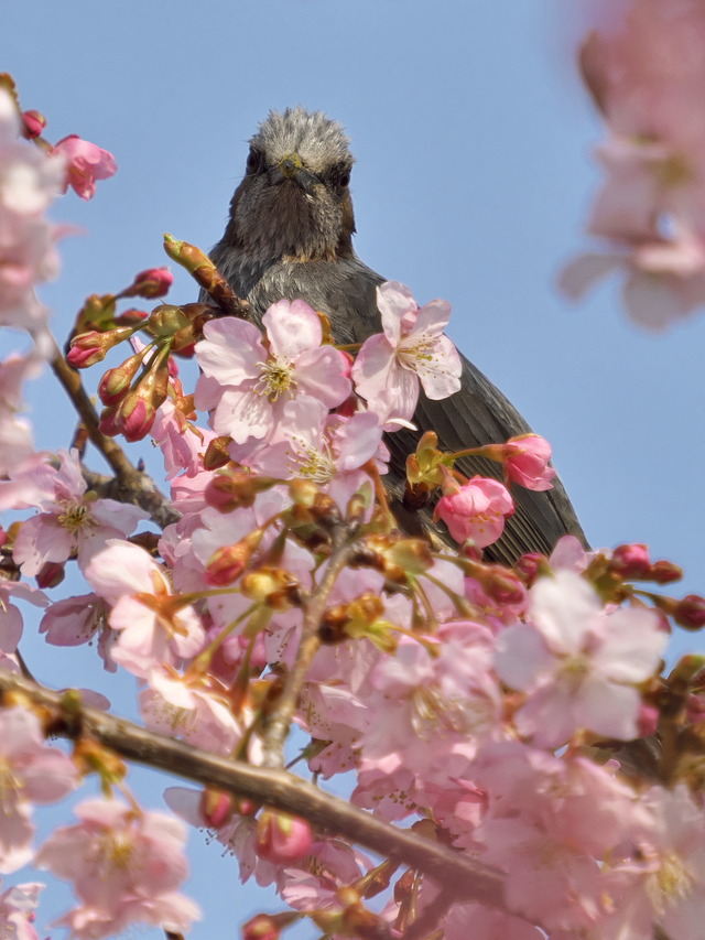 20220308_142018P3081174