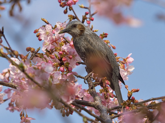 20220308_141934P3081159