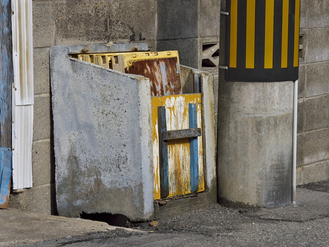 20220220_102236P2200986