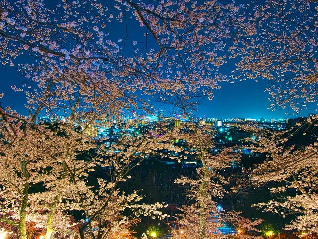 20230330_195202P3304949