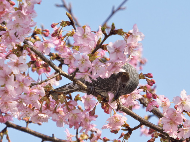 20220308_142049P3081207