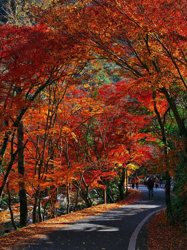 20221119_123603PB190908