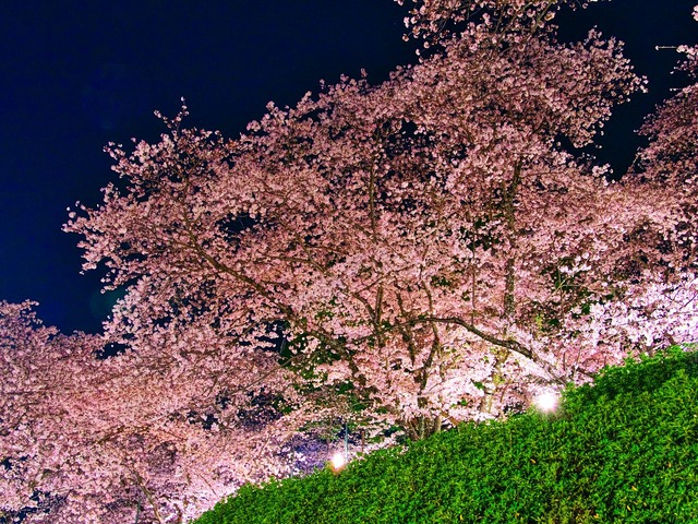 20230330_193138P3304929