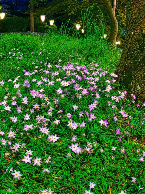 20230330_185939P3304897