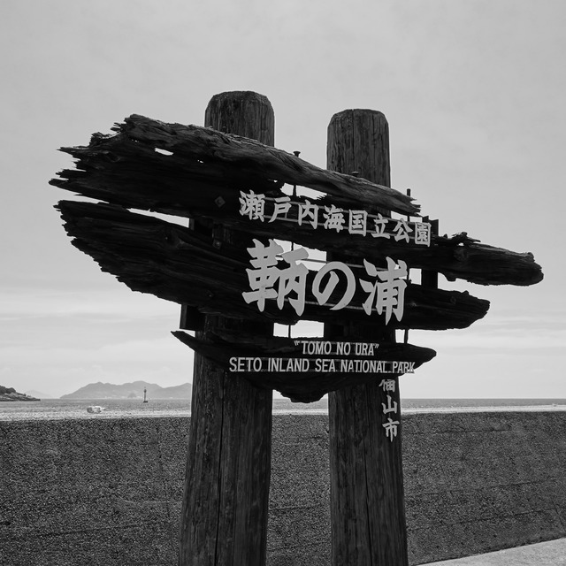 DSC01263