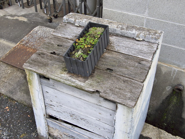 20220220_110939P2201086