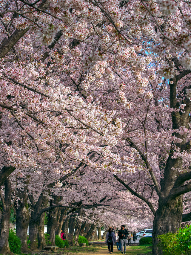 20220402_074848P4020194_4