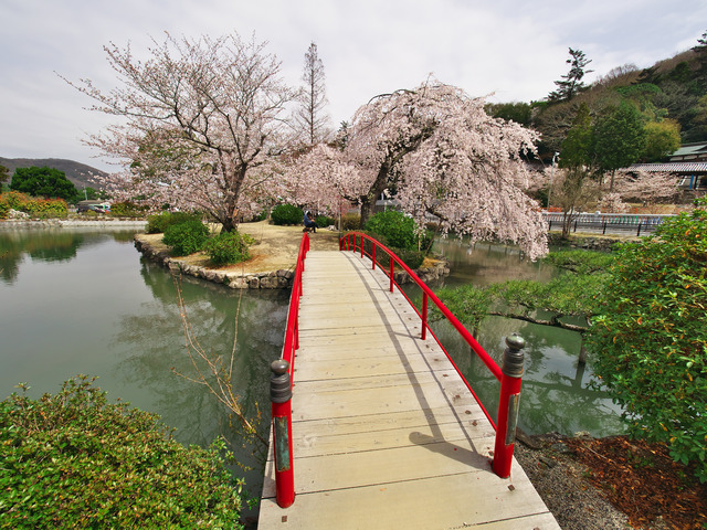 20220330_112716P3303328