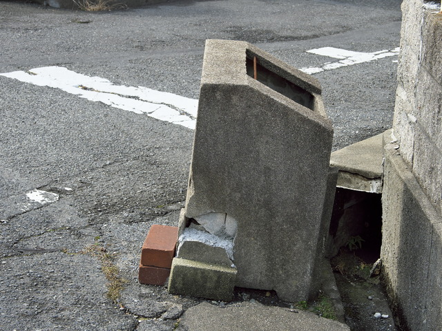 20220220_110555P2201084