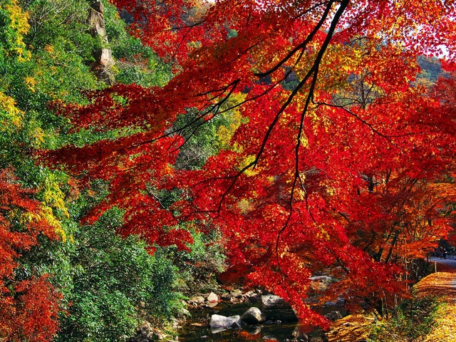 20221119_123525PB190905