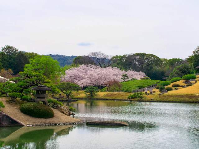 20220402_091754P4020369_18