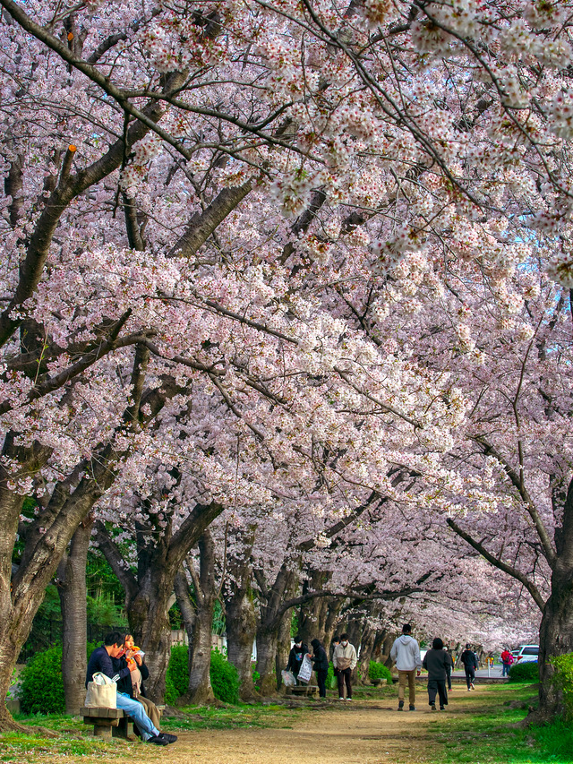 20220402_074954P4020214_7