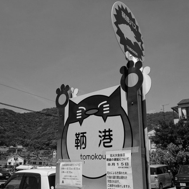 DSC01266