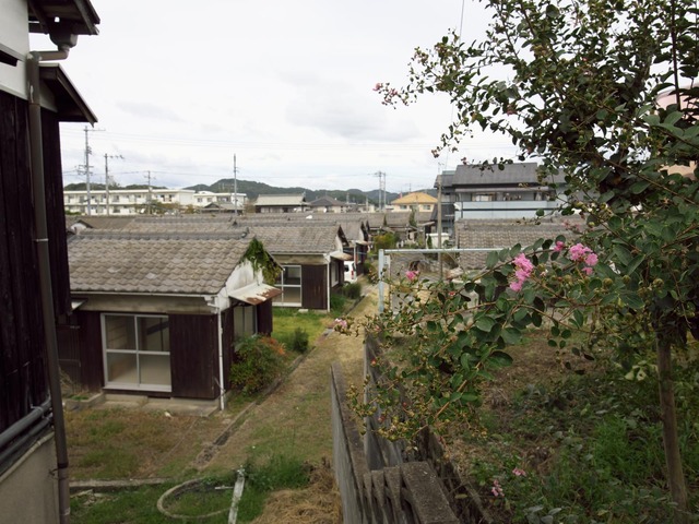 20221008_112237PA080438